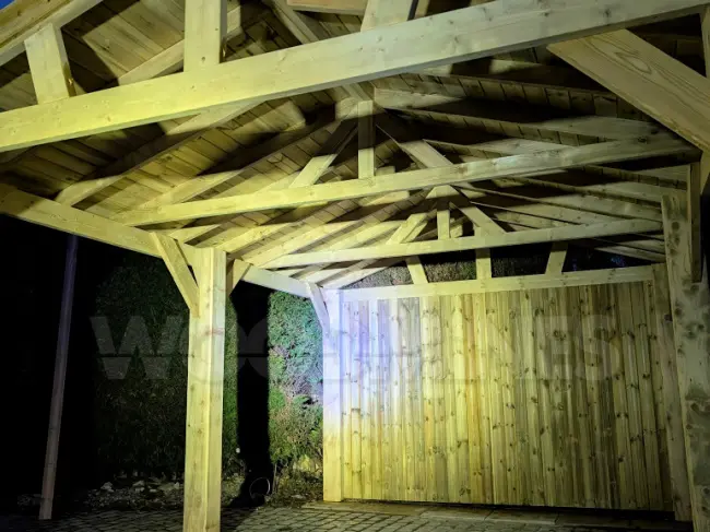 PXL_20241119_164137439.jpg 650 x 487.webp